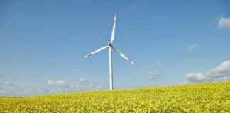 El Verano En Que Mi Madre Tuvo Los Ojos Verdes El Verano En Que Mi Madre Tuvo Los Ojos Verdes