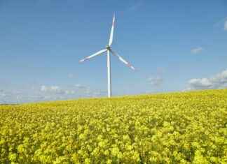 El Verano En Que Mi Madre Tuvo Los Ojos Verdes El Verano En Que Mi Madre Tuvo Los Ojos Verdes