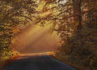 Estadísticas De Rayo Vallecano Contra Atlético De Madrid Estadísticas De Rayo Vallecano Contra Atlético De Madrid