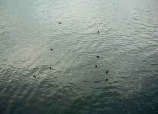 Pisos En Alquiler Particulares Madrid De 400 A 550 Eur Pisos En Alquiler Particulares Madrid De 400 A 550 Eur