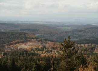 Pisos En Alquiler Particulares Madrid De 500 A 600 Eur Pisos En Alquiler Particulares Madrid De 500 A 600 Eur