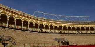 Posiciones De Red Bull Salzburg Contra Atlético De Madrid Posiciones De Red Bull Salzburg Contra Atlético De Madrid