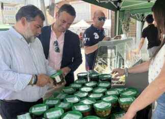 Disfruta del evento Cómete Campo Real en la plaza principal disfruta-del-evento-cmete-campo-real-en-la-plaza-principal