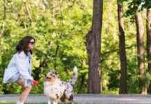 Horario permitido para pasear perros sin correa en parques de Madrid horario-permitido-para-pasear-perros-sin-correa-en-parques-de-madrid
