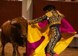 Cronología De Atlético De Madrid Contra U. D. Las Palmas: ¿Qué Sucedió?