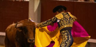 Atlético Madrid – U. D. Las Palmas: ¿Quién Dominará El Partido?