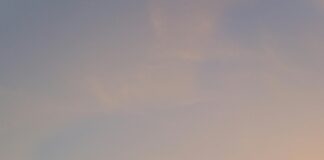 Delegación Del Gobierno En La Comunidad De Madrid: ¿Qué Funciona?