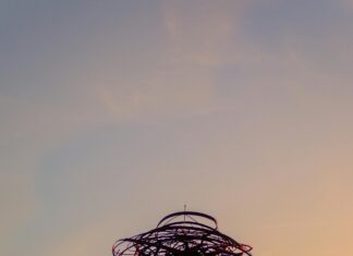 Delegación Del Gobierno En La Comunidad De Madrid: ¿Qué Funciona?