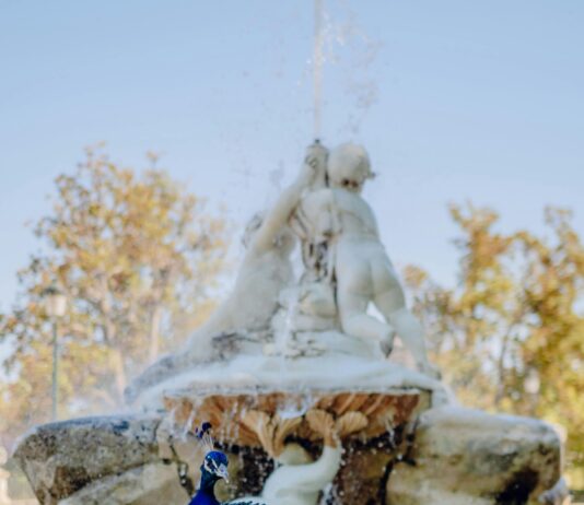 Entradas Para Real Madrid Contra Barcelona: ¿Dónde Conseguirlas Fácilmente?