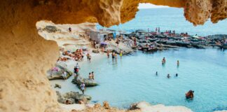 Usera Madrid Restaurante Chino: ¿Por Qué Sus Peces Koi Son Tan Fascinantes?