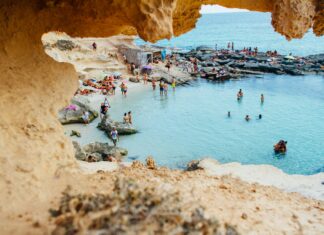 Usera Madrid Restaurante Chino: ¿Por Qué Sus Peces Koi Son Tan Fascinantes?