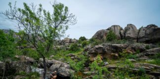 A Qué Hora Juega El Real Madrid: Descubre El Horario Exacto Hoy