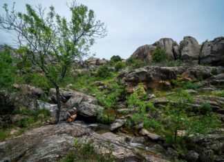 A Que Hora Juega El Madrid: Descubre El Horario Clave Hoy