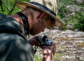 Cuándo Juega El Real Madrid De Baloncesto: ¡Descubre Todo Aquí!