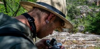 Alineaciones De Atlético De Madrid Contra Lille OSC: ¿Sorpresas Reveladas?