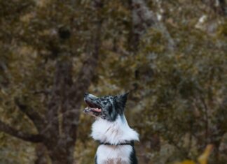 Bolsa De Madrid Ibex 35 Hoy: ¿Qué Oportunidades Sorprendentes Trae?