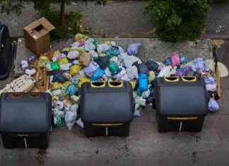 Retiro de basura en Madrid: ¿Qué significa salvo algunos focos muy puntuales? retiro-de-basura-en-madrid-qu-significa-salvo-algunos-focos-muy-puntuales