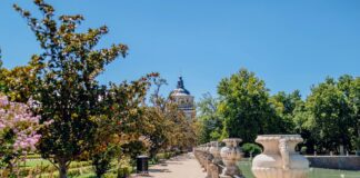 Real Madrid Contra U. D. Las Palmas: ¿Quién Dominará El Partido?