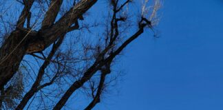 Gobierno De La Comunidad De Madrid: ¿Qué Cambios Impactan Tu Vida?