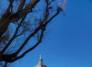 Gobierno De La Comunidad De Madrid: ¿Qué Cambios Impactan Tu Vida?